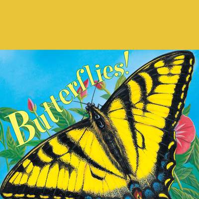 Know-It-Alls! Butterflies