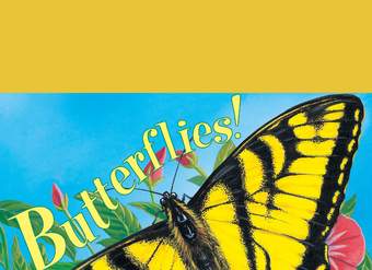 Know-It-Alls! Butterflies