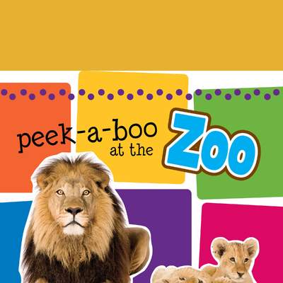 Peek-A-Boo At the Zoo Sound Book