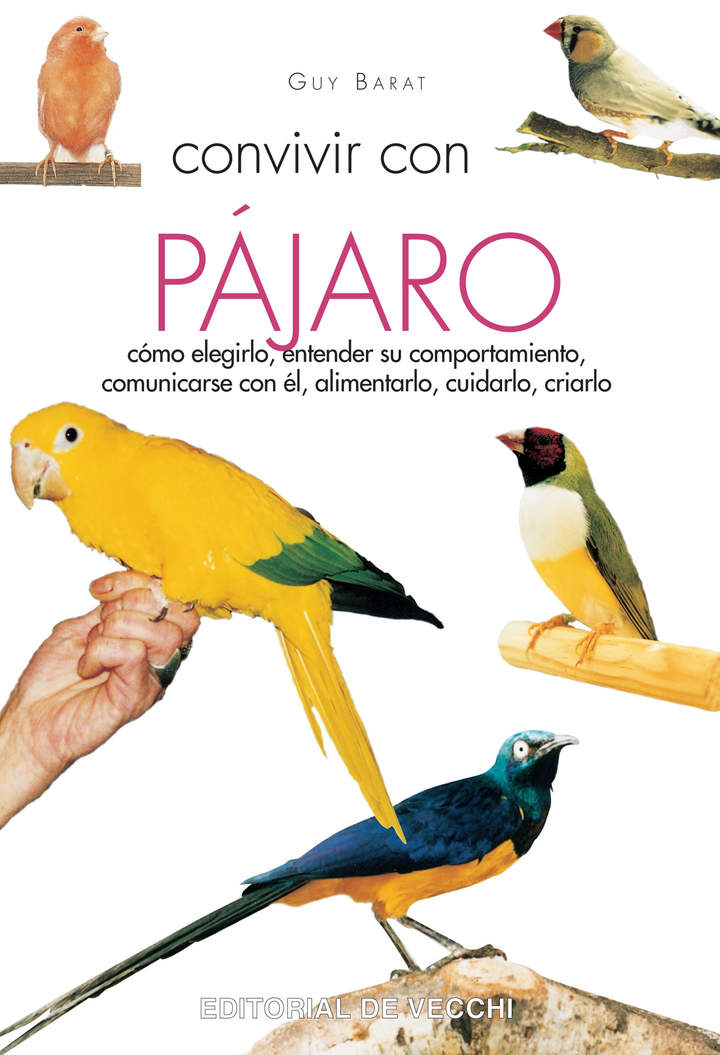 Convivir con su pájaro