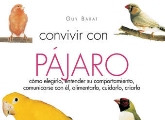 Convivir con su pájaro