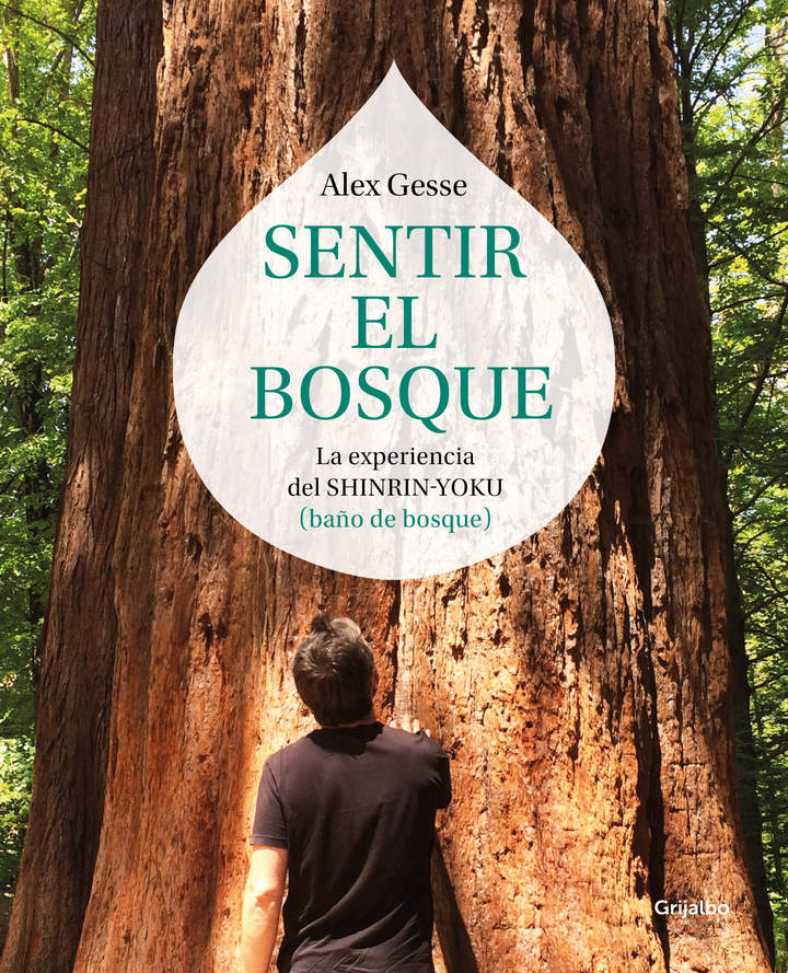 Sentir el bosque. La experiencia del shinrin-yoku. Baño de bosque