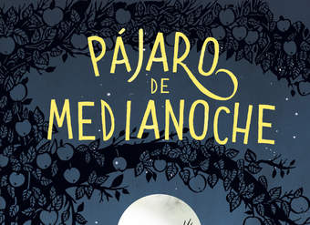 Pájaro de medianoche