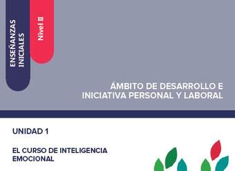 Enseñanzas iniciales. Nivel II. Ámbito de desarrollo e iniciativa personal y laboral. Unidad 1. El curso de inteligencia emocional