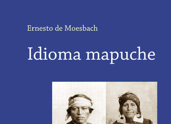 Idioma mapuche