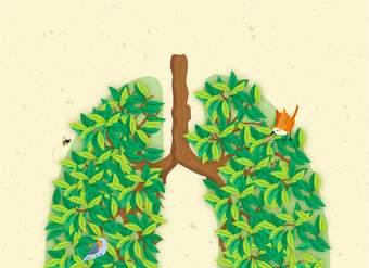 Pulmones verdes al rescate: Aportando a un país más verde