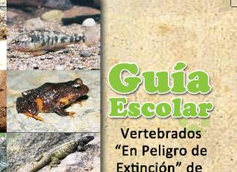 Guía escolar: especies en peligro Biobio