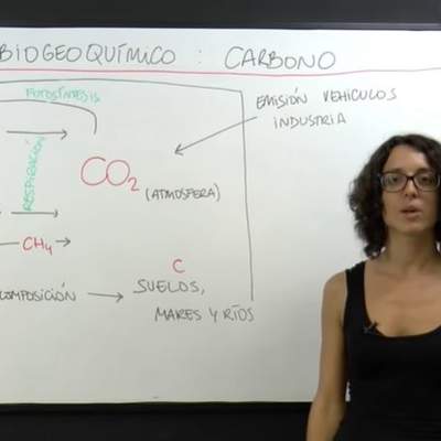 Ciclos biogeoquímicos