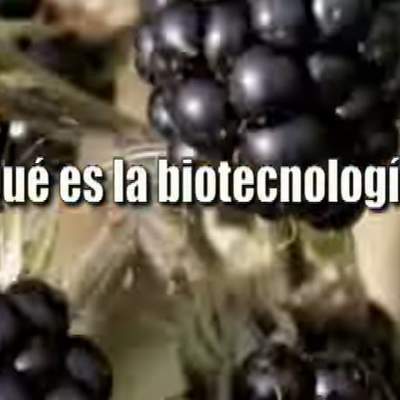 Biotecnología