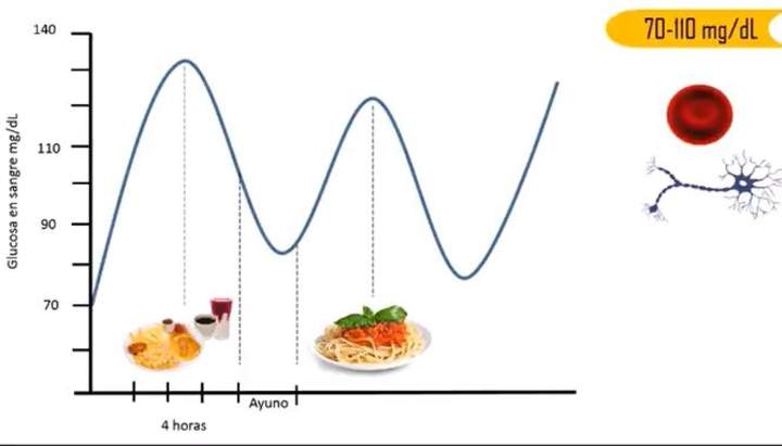 Homeostasis