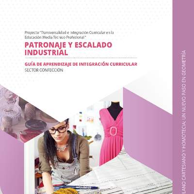 Guía de integración curricular "Plano cartesiano y homotecia… un nuevo paso en geometría"