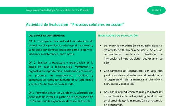 Actividad de evaluación: Procesos celulares en acción