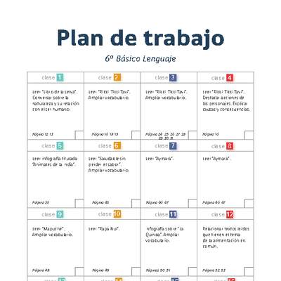 Plan de trabajo Lenguaje 6° básico