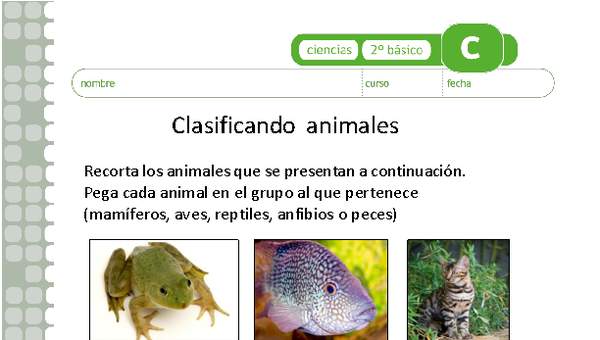 Clasificando animales