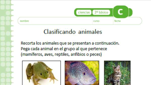 Clasificando animales