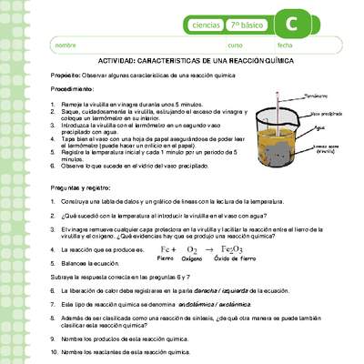 Características de una reacción química