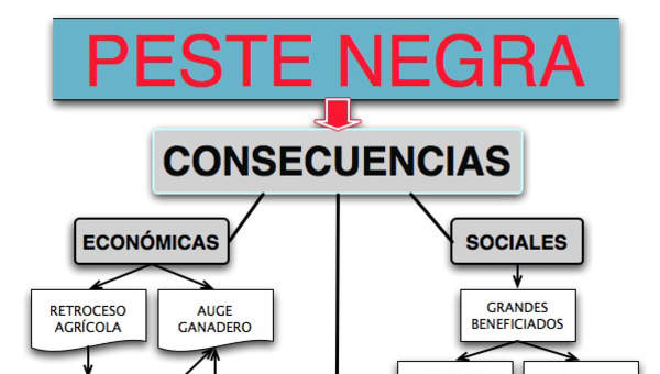 Mapa conceptual consecuencias peste negra