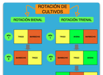 Esquema rotación de cultivos