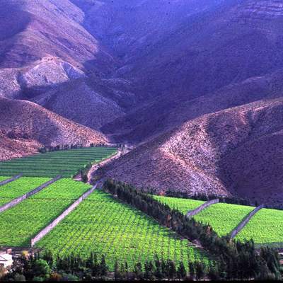 Valle del Elqui