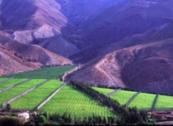 Valle del Elqui