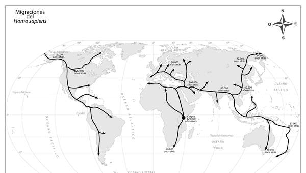 Mapa migraciones Homo Sapiens