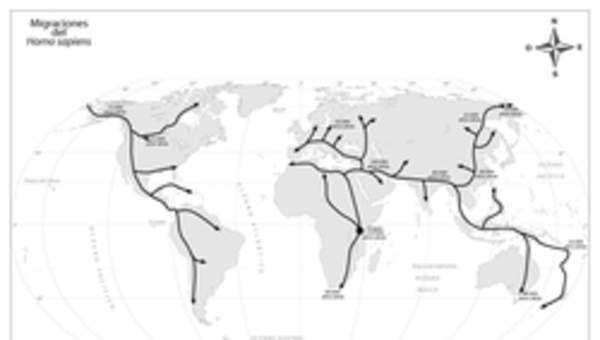 Mapa migraciones Homo Sapiens