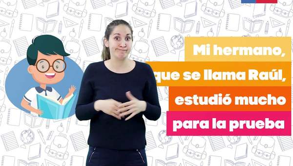 Uso de coma en frases explicativas/Lenguaje y Comunicación 6° básico