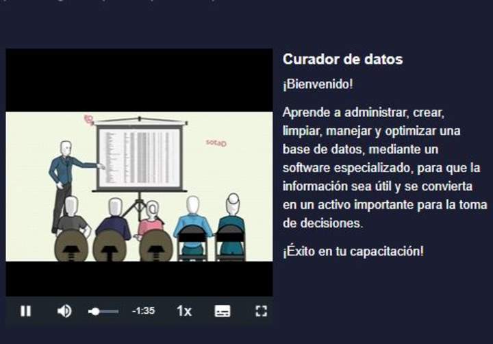 Curso: Curador de datos