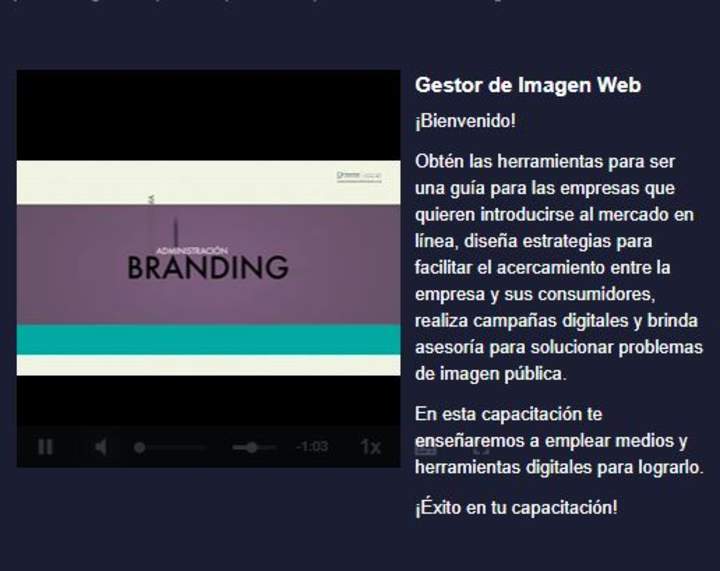 Curso: Gestor de imagen web