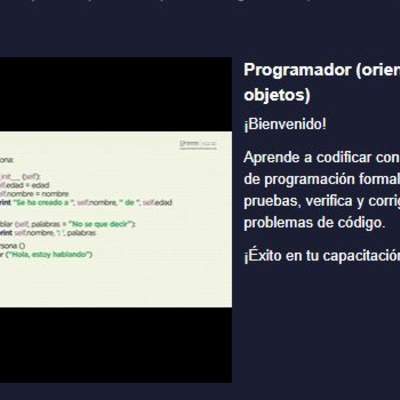 Curso: Programador (orientado a objetos)