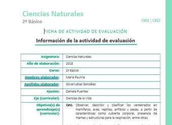 EVF-CN02-OA01-OA02