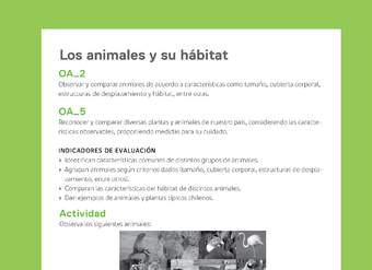 Ejemplo Evaluación Programas - OA02 - OA05 - Los animales y su hábitat