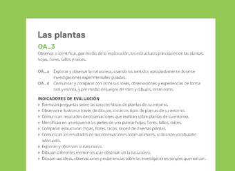 Ejemplo Evaluación Programas - OA03 - Las plantas