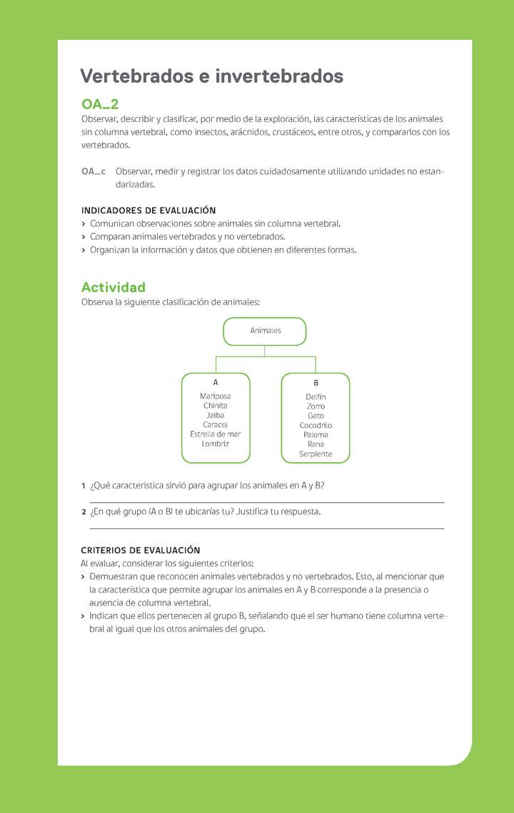 Ejemplo Evaluación Programas - OA02 - Vertebrados e invertebrados