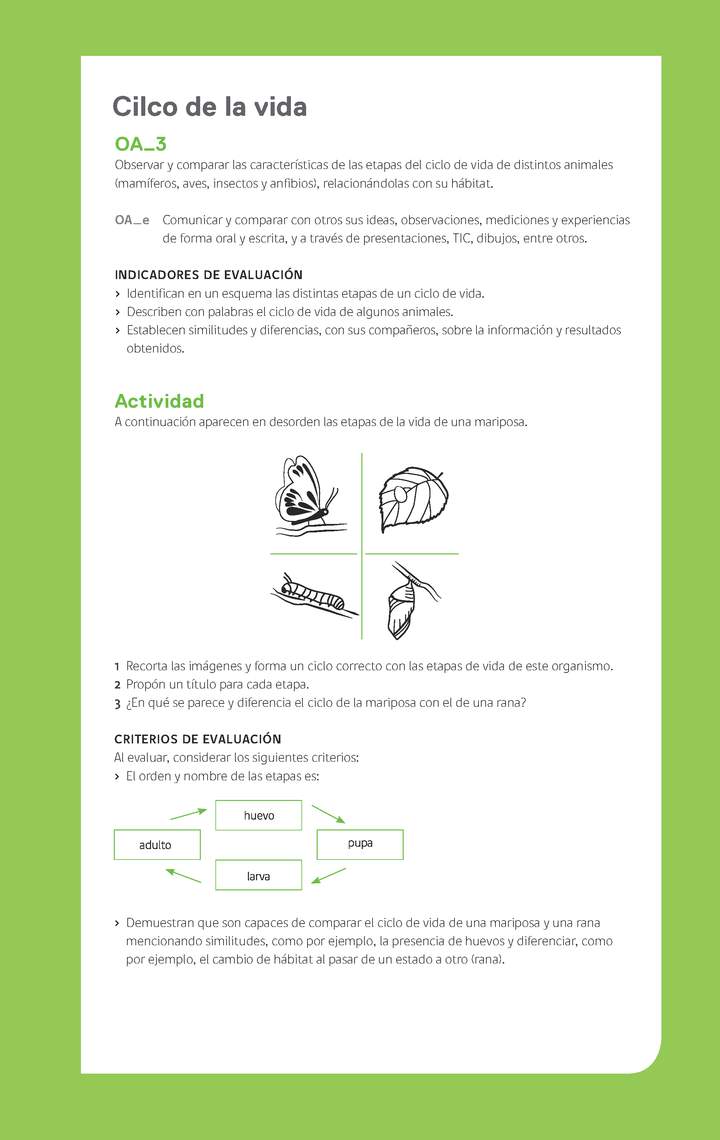 Ejemplo Evaluación Programas - OA03 - Ciclo de la vida