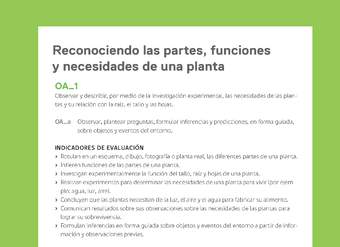 Ejemplo Evaluación Programas - OA01 - Reconociendo las partes, funciones y necesidades de una planta