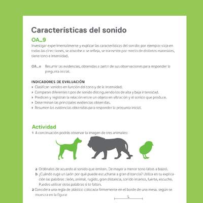 Ejemplo Evaluación Programas - OA09 - Características del sonido