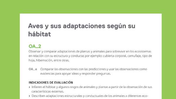 Ejemplo Evaluación Programas - OA02 - Aves y sus adaptaciones según su hábitat