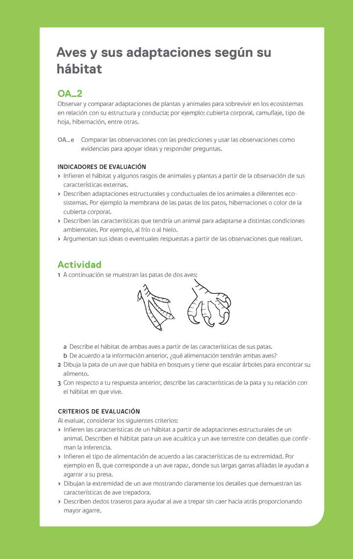 Ejemplo Evaluación Programas - OA02 - Aves y sus adaptaciones según su hábitat