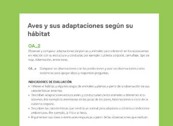 Ejemplo Evaluación Programas - OA02 - Aves y sus adaptaciones según su hábitat