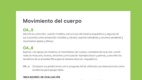 Ejemplo Evaluación Programas - OA05 - OA06 - Movimiento del cuerpo