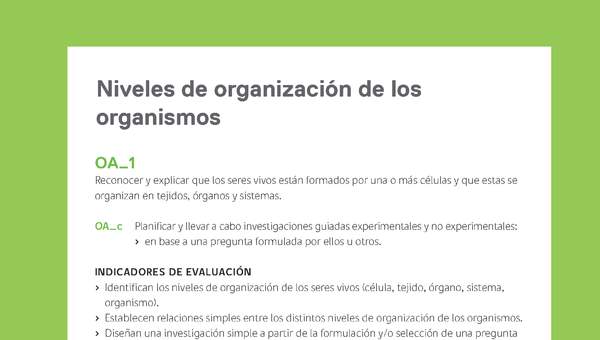 Ejemplo Evaluación Programas - OA01 - Niveles de organización de los organismos