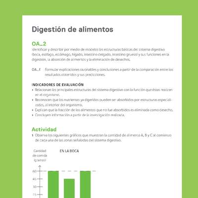 Ejemplo Evaluación Programas - OA02 - Digestión de alimentos