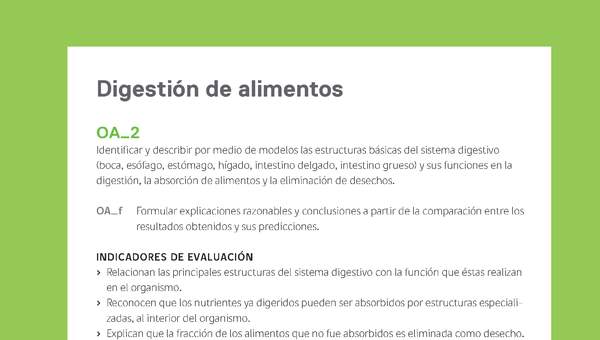 Ejemplo Evaluación Programas - OA02 - Digestión de alimentos