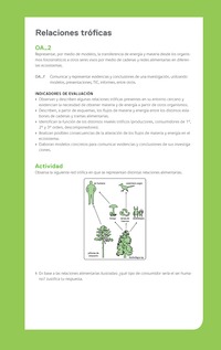 Ejemplo Evaluación Programas - OA02 - Relaciones tróficas