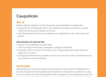 Ejemplo Evaluación Programas - OA05 - Caupolicán