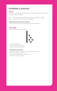 Ejemplo Evaluación Programas - OA08 - Unidades y decenas