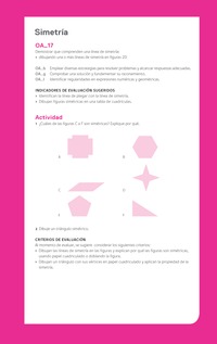 Evaluación Programas - MA04 OA17 - U3 - Simetría