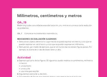 Evaluación Programas - MA05 OA19 - U2 - Milímetros, centímetros y metros