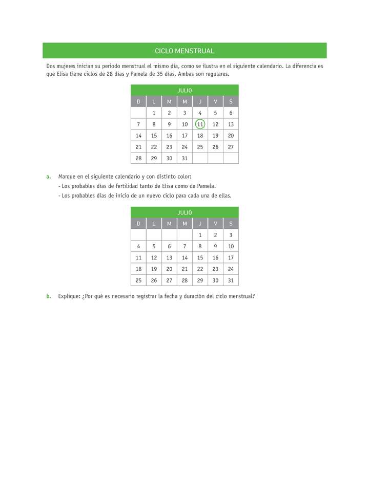 Evaluación Programas - CN07 OA02 - U4 - CICLO MENSTRUAL